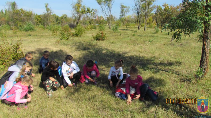 юні дослідники природи отримали заслужені винагороди. Зображення 1
