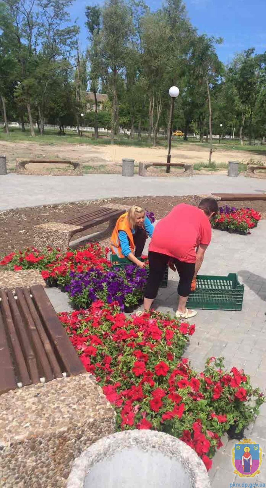 парк – з поливом. Зображення 3