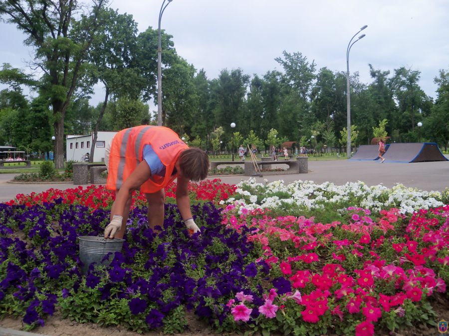 місто за тиждень. Зображення 1